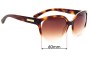 Sunglass Fix Replacement Lenses for Michael Kors MK6036 Mitzi II - 60mm Wide 
