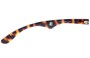 Carrera 6000/FD Replacement Lenses Model Name 