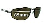 Sunglass Fix Replacement Lenses for Serengeti Augusto - 63mm Wide 