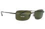 Sunglass Fix Lentes de Repuesto para Serengeti Siena - 55mm Wide 