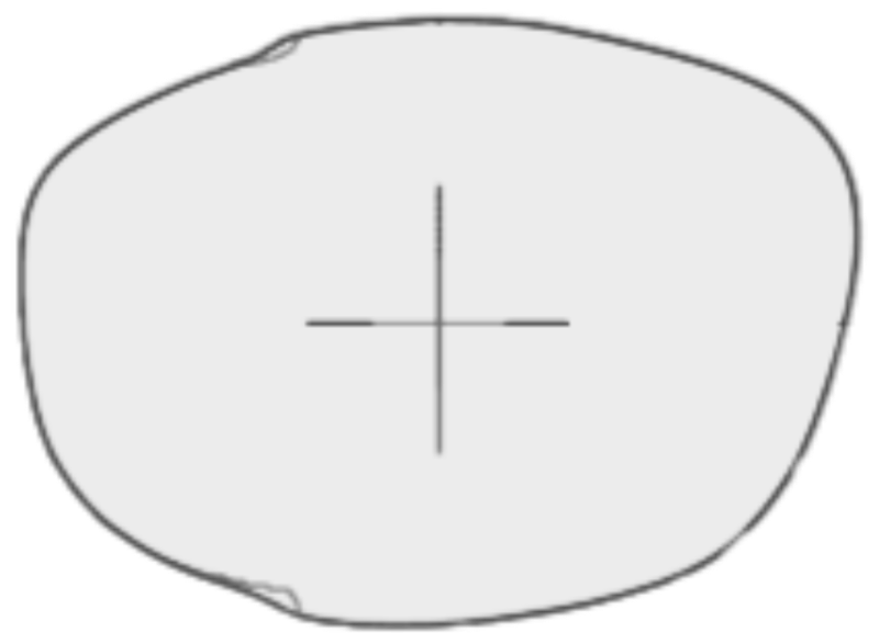 TOM FORD JENNIFER SHAPE