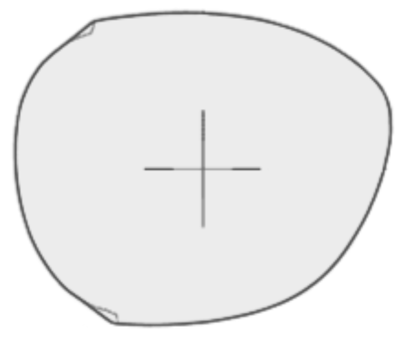 TOM FORD RAQUEL SHAPE